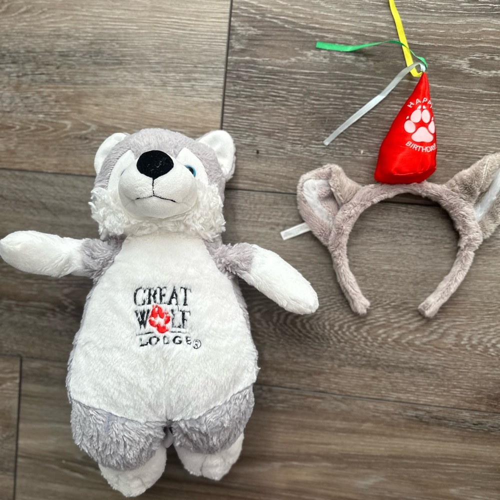 🌞 Sale 3 for $15 Great Wolf Lodge .  / birthday bundle